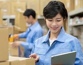 仕分け作業の様子